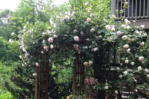 197 Eagles View Rd, Hayesville, NC 28904 - Photo 38