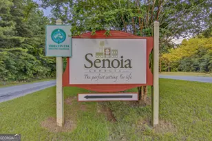 519 Cumberland Trail, Senoia, GA 30276 - Photo 54
