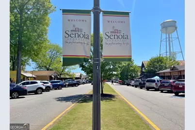 519 Cumberland Trail, Senoia, GA 30276 - Photo 58