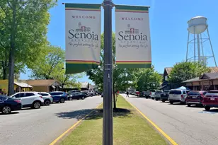 519 Cumberland Trail, Senoia, GA 30276 - Photo 58