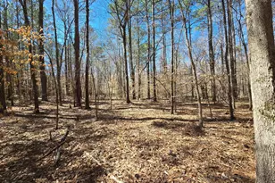 0 River Shoals Ct, Covington, GA 30016 - Photo 1