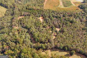 438 Turner Rd, Cleveland, GA 30528 - Photo 80