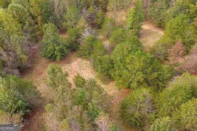 438 Turner Road, Cleveland, GA 30528 - Photo 70