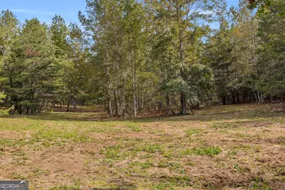 438 Turner Road, Cleveland, GA 30528 - Photo 102