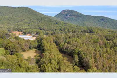 438 Turner Road, Cleveland, GA 30528 - Photo 58