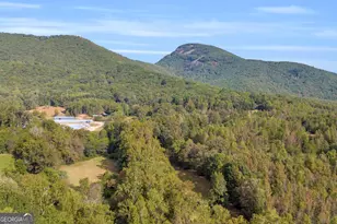 438 Turner Rd, Cleveland, GA 30528 - Photo 58