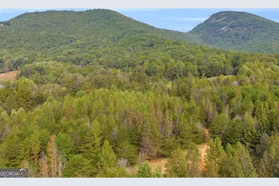 438 Turner Road, Cleveland, GA 30528 - Photo 68