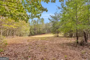 438 Turner Rd, Cleveland, GA 30528 - Photo 96