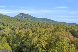 438 Turner Rd, Cleveland, GA 30528 - Photo 10