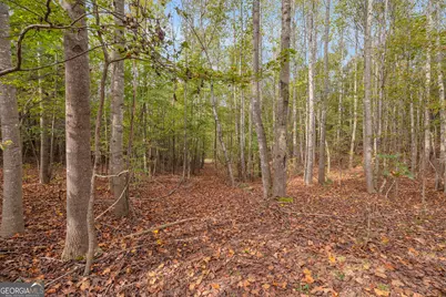 438 Turner Road, Cleveland, GA 30528 - Photo 98