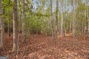 438 Turner Rd, Cleveland, GA 30528 - Photo 98