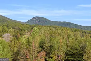 438 Turner Rd, Cleveland, GA 30528 - Photo 60