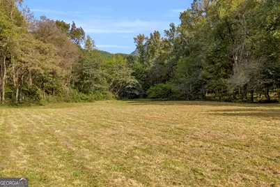 438 Turner Road, Cleveland, GA 30528 - Photo 52