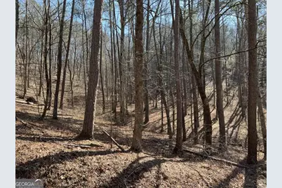 1243R Onyx Court, Ranger, GA 30734 - Photo 8