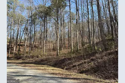 1243R Onyx Court, Ranger, GA 30734 - Photo 4