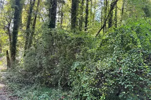 0 Post Oak, Clayton, GA 30525 - Photo 1