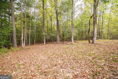 931 S Jeff Davis Drive, Fayetteville, GA 30215 - Photo 74