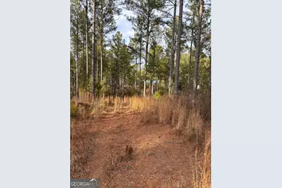 0 S Highway 225 #9659, Chatsworth, GA 30705 - Photo 50