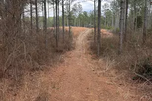 0 S Hwy 225, Chatsworth, GA 30705 - Photo 38