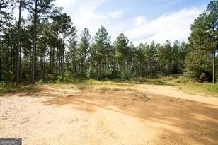 0 S Hwy 225, Chatsworth, GA 30705 - Photo 2