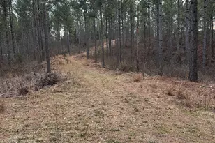 0 S Hwy 225, Chatsworth, GA 30705 - Photo 26