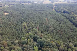 0 S Hwy 225, Chatsworth, GA 30705 - Photo 10