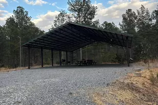 0 S Hwy 225, Chatsworth, GA 30705 - Photo 22