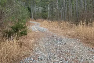 0 S Hwy 225, Chatsworth, GA 30705 - Photo 34