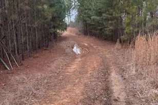 0 S Hwy 225, Chatsworth, GA 30705 - Photo 30