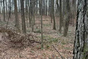 0 S Hwy 225, Chatsworth, GA 30705 - Photo 44