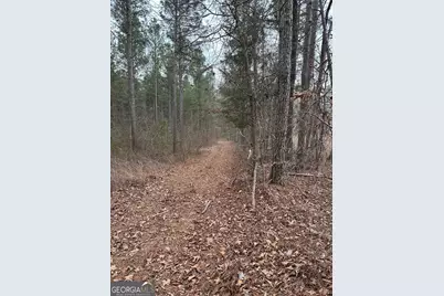 0 S Highway 225 #9659, Chatsworth, GA 30705 - Photo 36