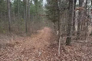 0 S Hwy 225, Chatsworth, GA 30705 - Photo 36