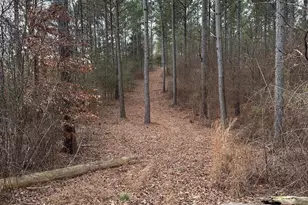 0 S Hwy 225, Chatsworth, GA 30705 - Photo 42