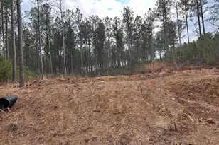 0 S Hwy 225, Chatsworth, GA 30705 - Photo 46