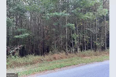 0 Hwy 101 and Dean Road, Aragon, GA 30104 - Photo 1