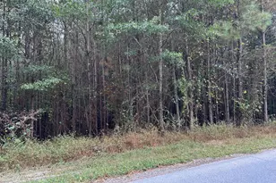 0 Hwy 101 and Dean Rd, Aragon, GA 30104 - Photo 1