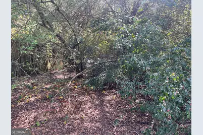 207 Morris Street, Palmetto, GA 30268 - Photo 4