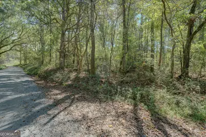 0 Rocky Creek Road, Mansfield, GA 30055 - Photo 10