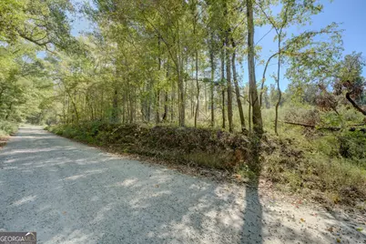 0 Rocky Creek Road, Mansfield, GA 30055 - Photo 6