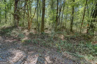 0 Rocky Creek Road, Mansfield, GA 30055 - Photo 12