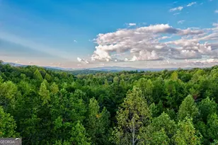 3448 Lickskillet Rd, Epworth, GA 30541 - Photo 58