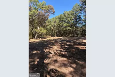 3191 Wallace Drive, Douglasville, GA 30135 - Photo 12