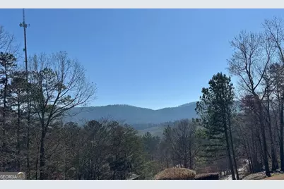 1 Magnolia Court, Summerville, GA 30747 - Photo 2