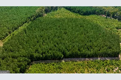 0 Hudson Ferry Rd. & Newington Highway, Newington, GA 30446 - Photo 26