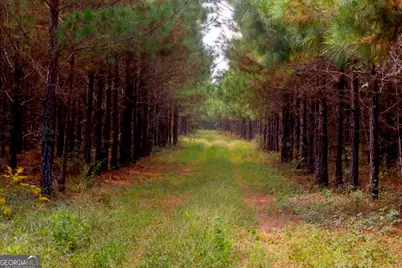 0 Hudson Ferry Rd. & Newington Highway, Newington, GA 30446 - Photo 8