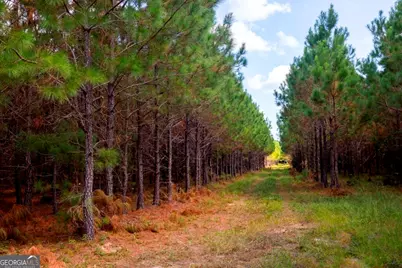 0 Hudson Ferry Rd. & Newington Highway, Newington, GA 30446 - Photo 12