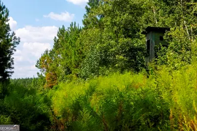 0 Hudson Ferry Rd. & Newington Highway, Newington, GA 30446 - Photo 14