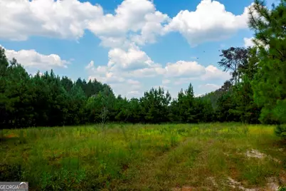 0 Hudson Ferry Rd. & Newington Highway, Newington, GA 30446 - Photo 10