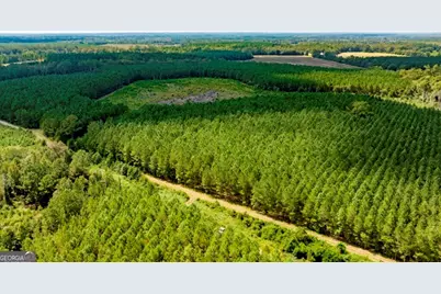 0 Hudson Ferry Rd. & Newington Highway, Newington, GA 30446 - Photo 30