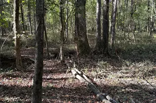 100 Mimosa Rd, Griffin, GA 30223 - Photo 26